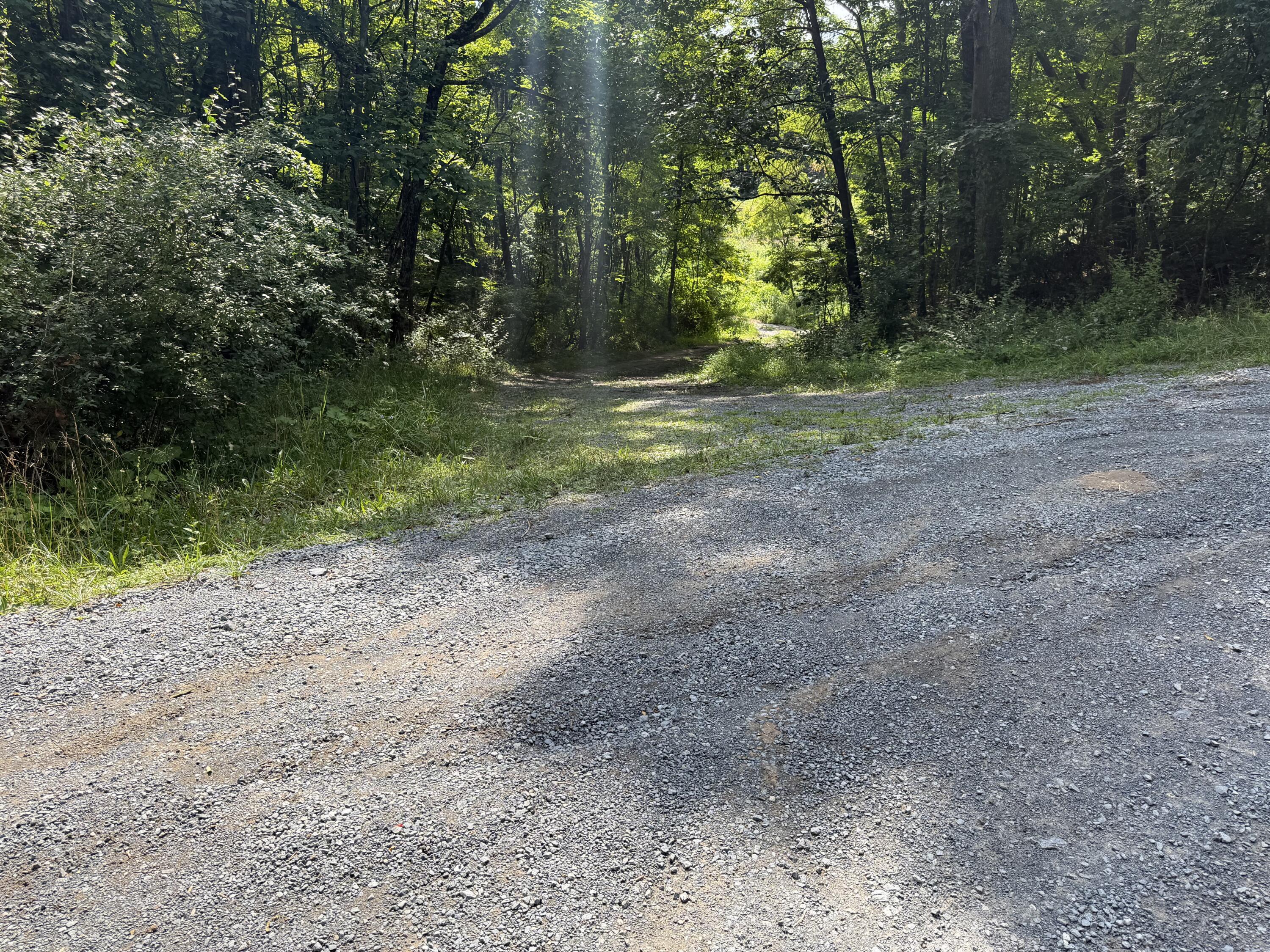 Image 3: IMG_9057