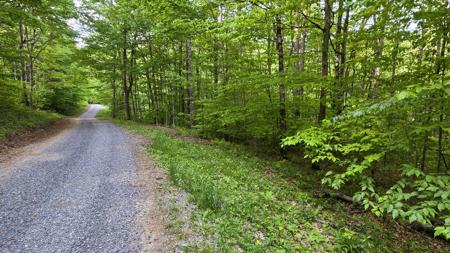 Lot 14 Roberts Ridge