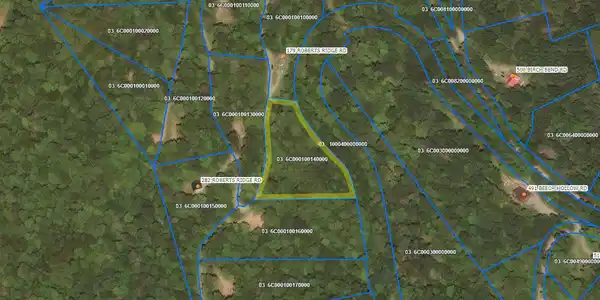 Image 2: Parcel Map