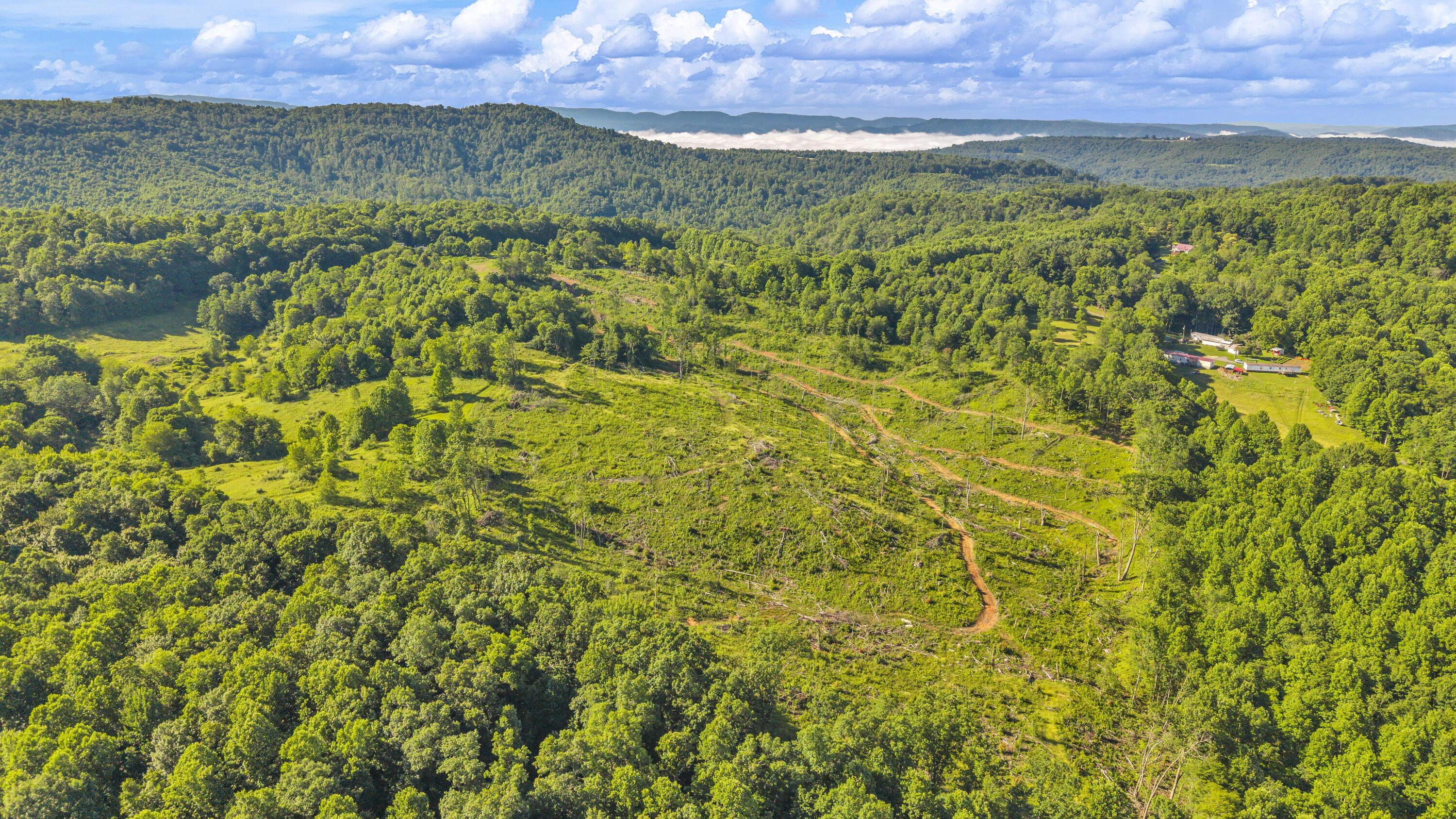 Image 4: 3287 Patterson Mountain Rd