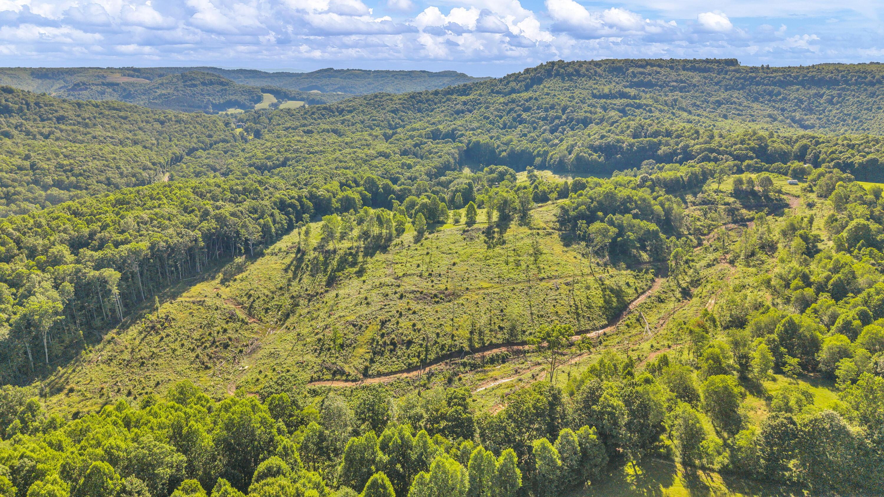 Image 4: 3287 Patterson Mountain Rd