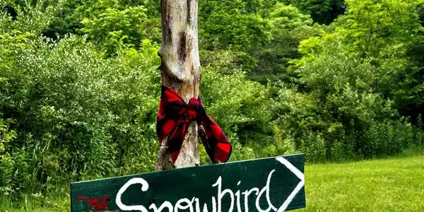 Image 3: sign
