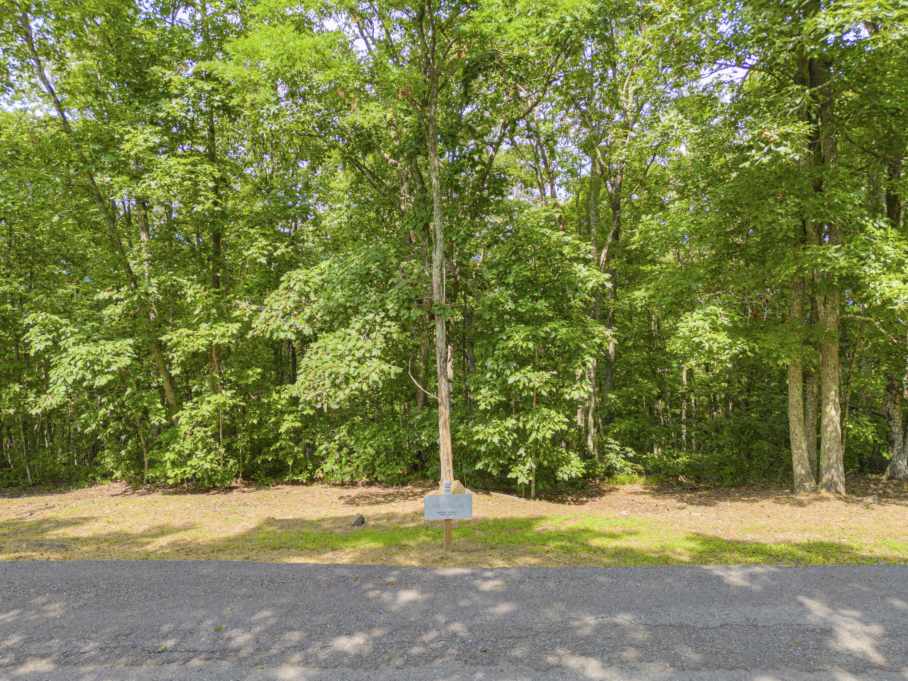 Image 2: Lot 96 White Rock Trail