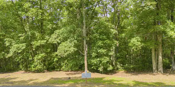 Image 2: Lot 96 White Rock Trail