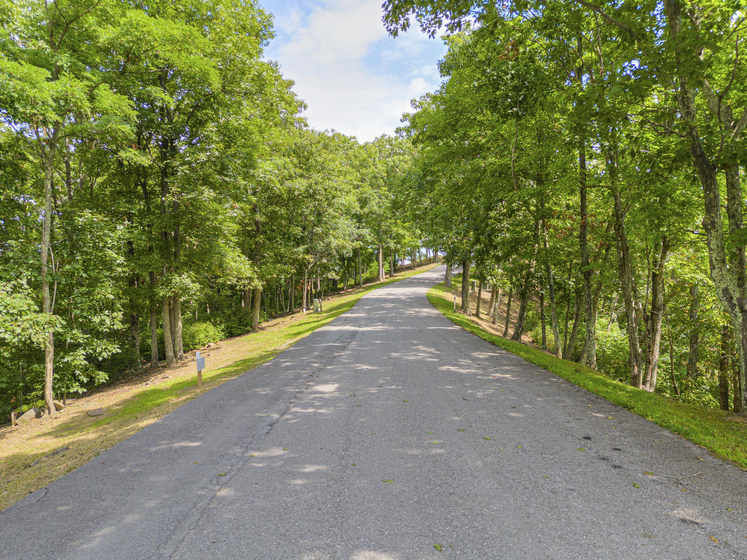 Image 3: Lot 96 White Rock Trail