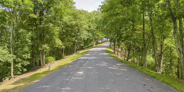 Image 3: Lot 96 White Rock Trail