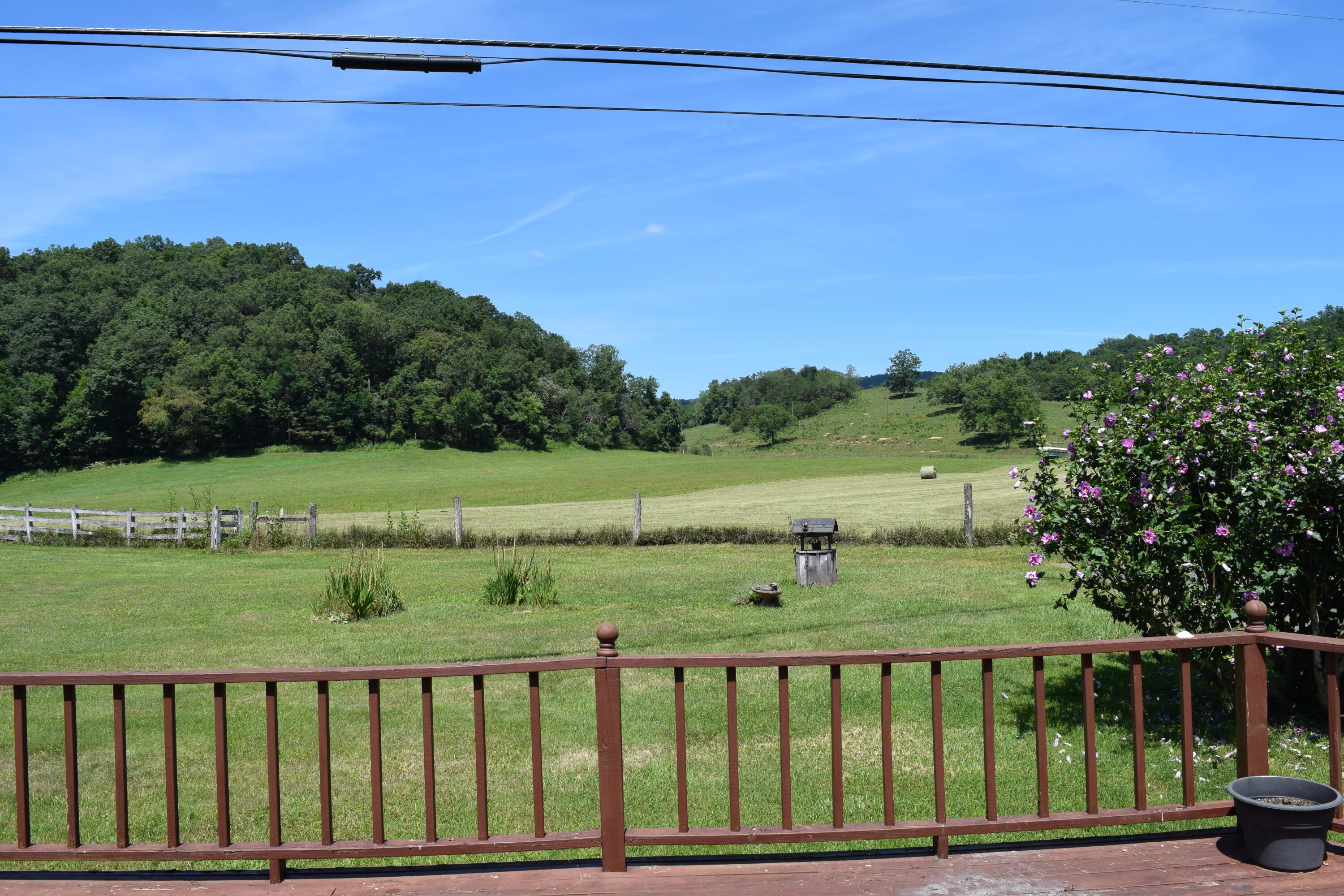Image 3: DSC_0273