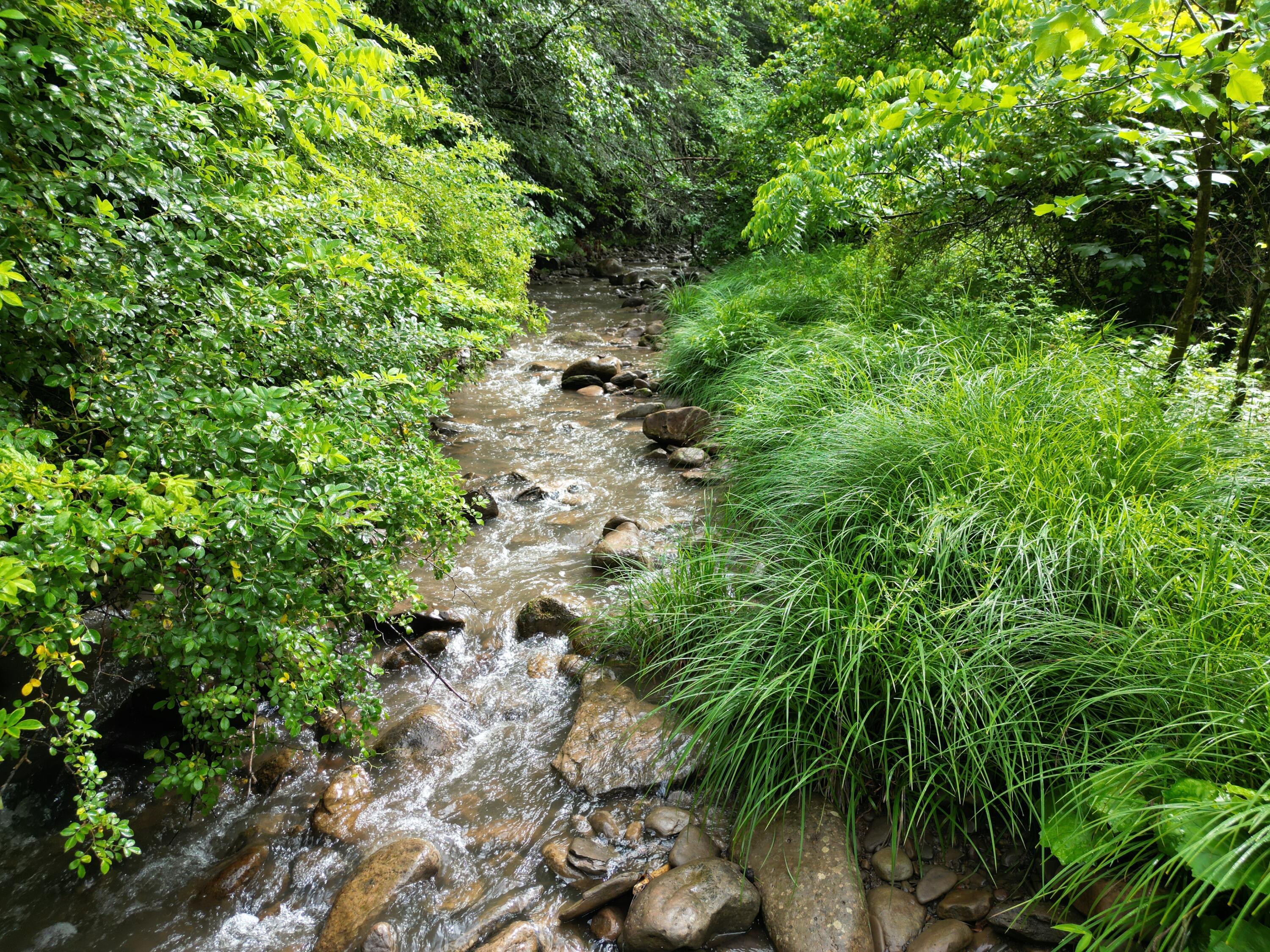Image 3: DJI_0394