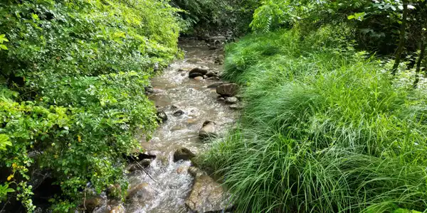 Image 3: DJI_0394