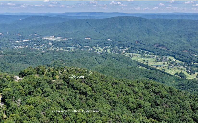 Image 1: Aerial View 1.09 acres