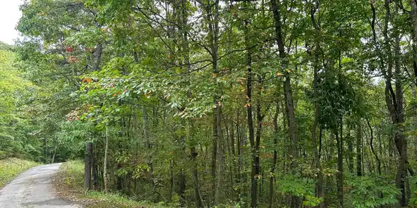 Image 2: pic 1