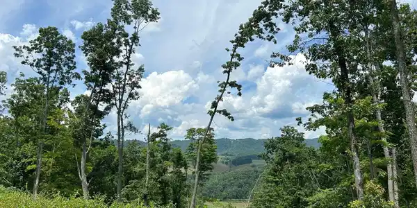 Image 2: 2