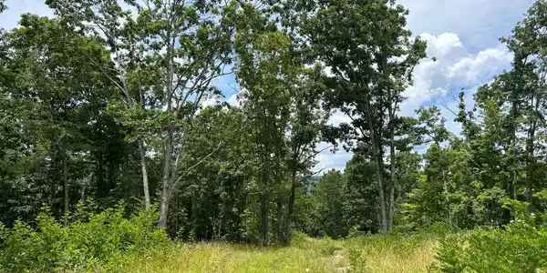Image 3: 3