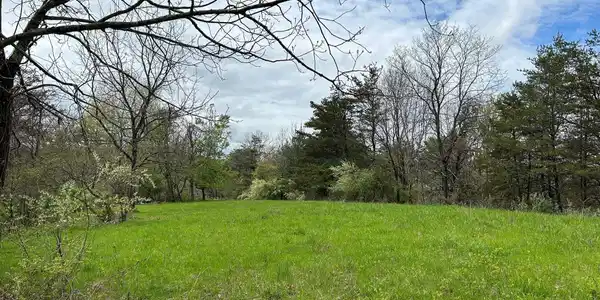 Image 4: P4
