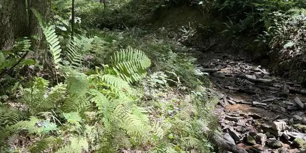 Image 4: image0-5