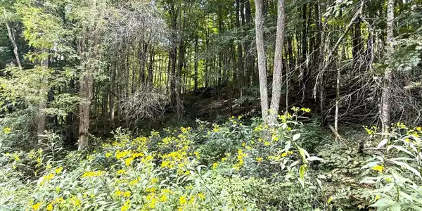 Image 2: IMG_1442 (002)