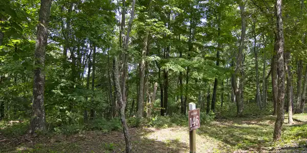 Image 3: MRL_0458