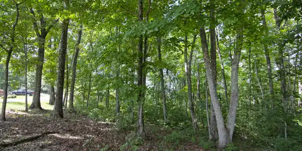 Image 2: MRL_0539