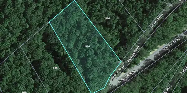 Image 2: lot 19