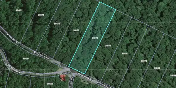 Image 3: lot 81