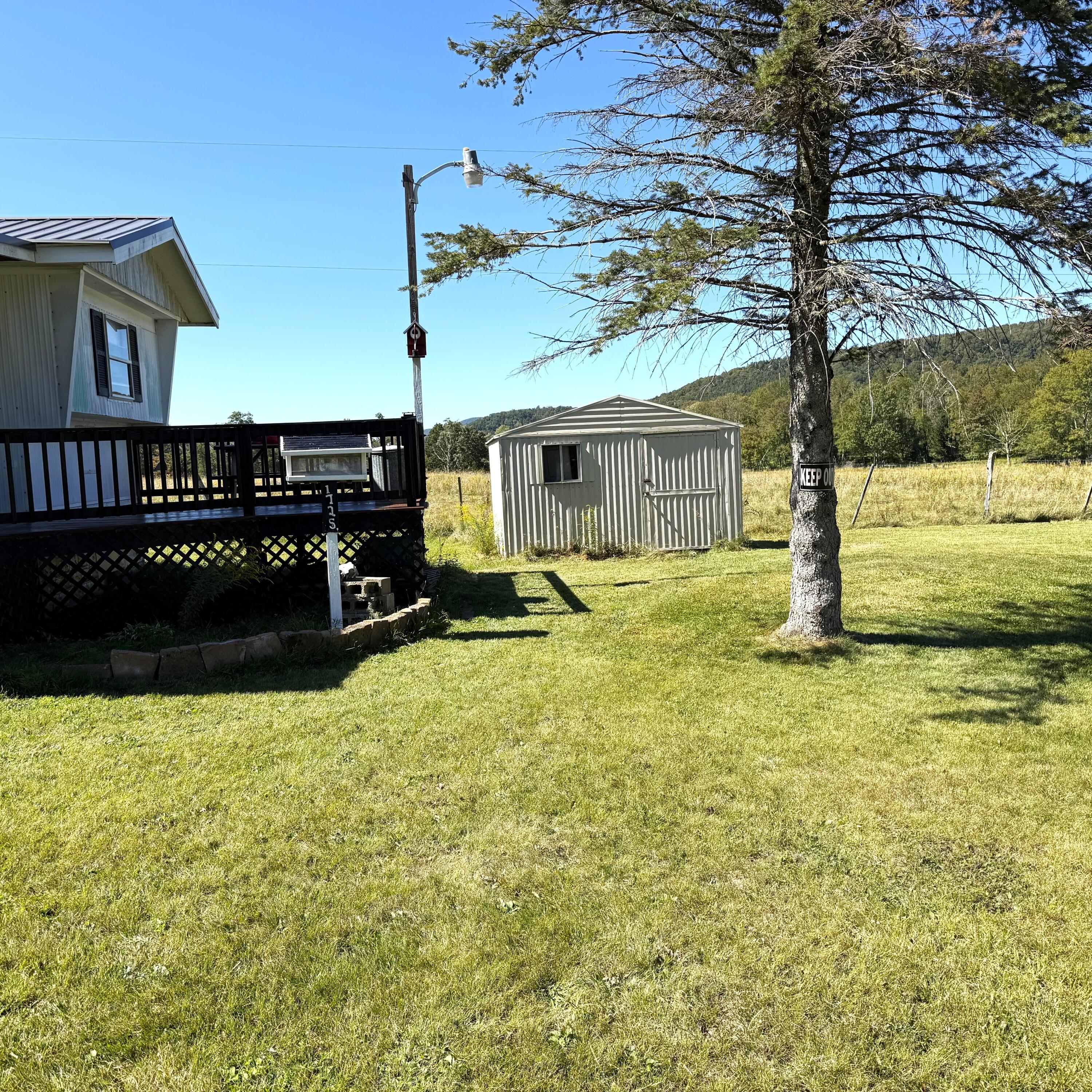 Image 4: IMG_5474 (002)