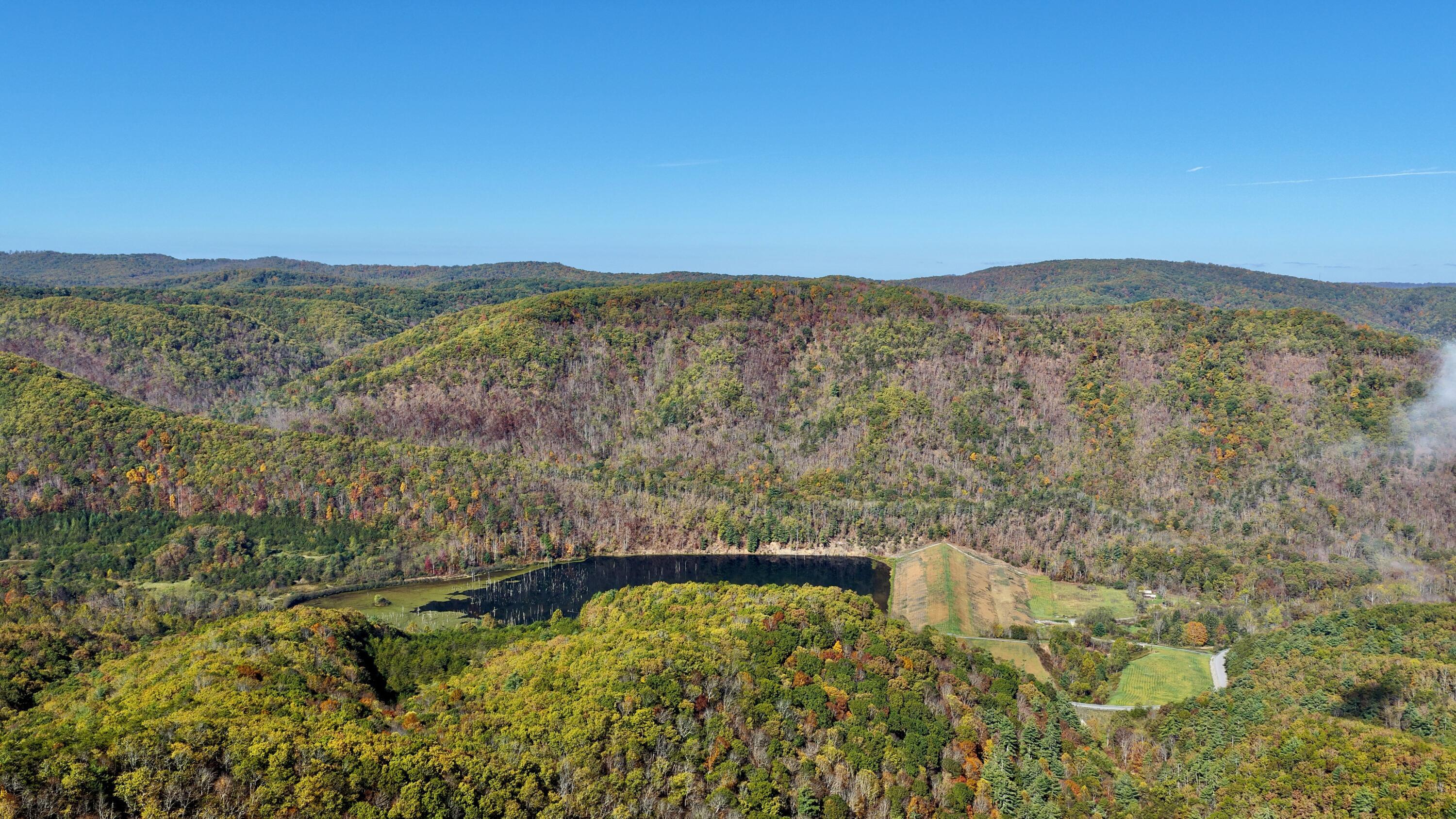 Image 4: DJI_20251011110451_0004_D