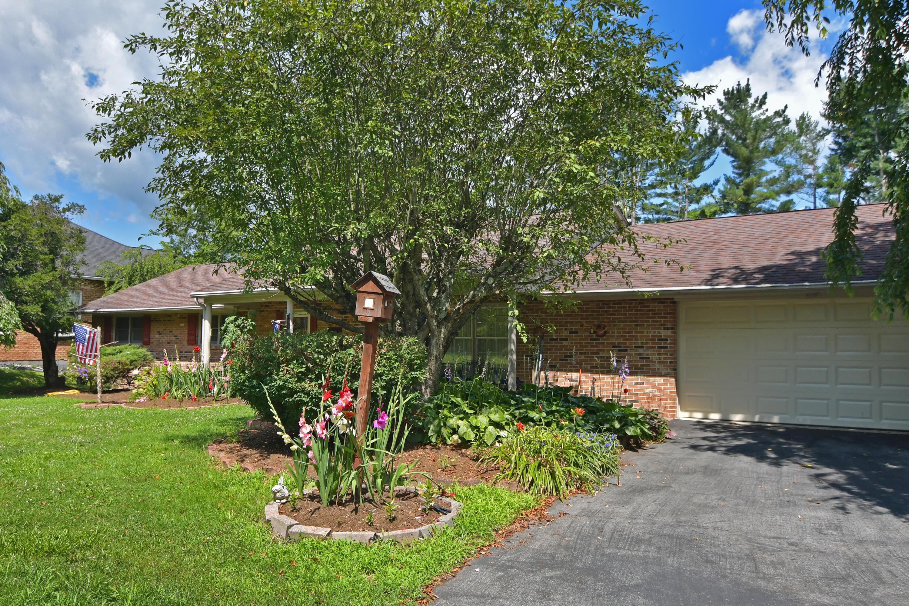 Image 2: ednacot (1)