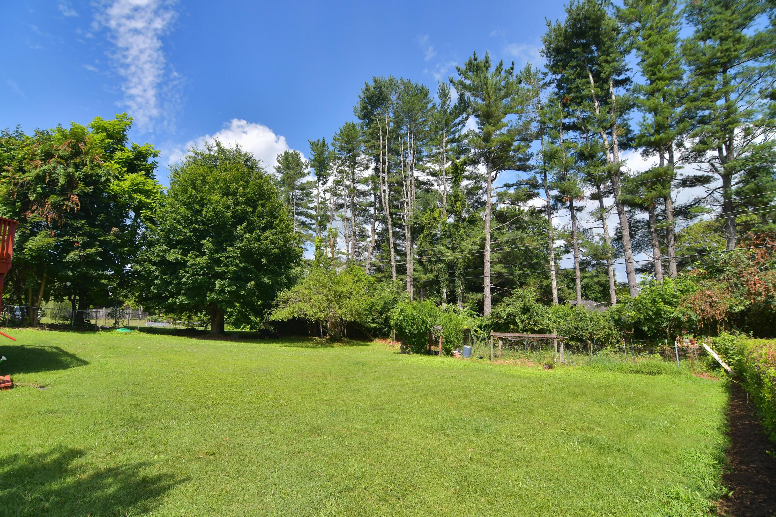 Image 4: ednacot (12)