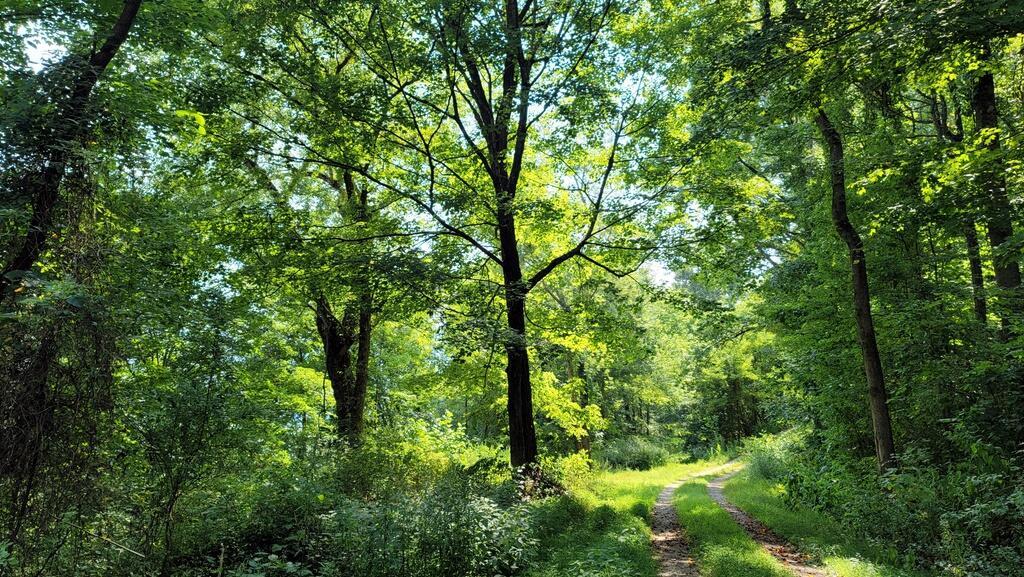 Image 3: Conley Hill overlooking New River