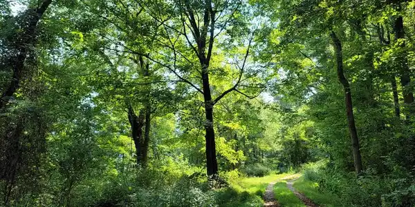 Image 3: Conley Hill overlooking New River