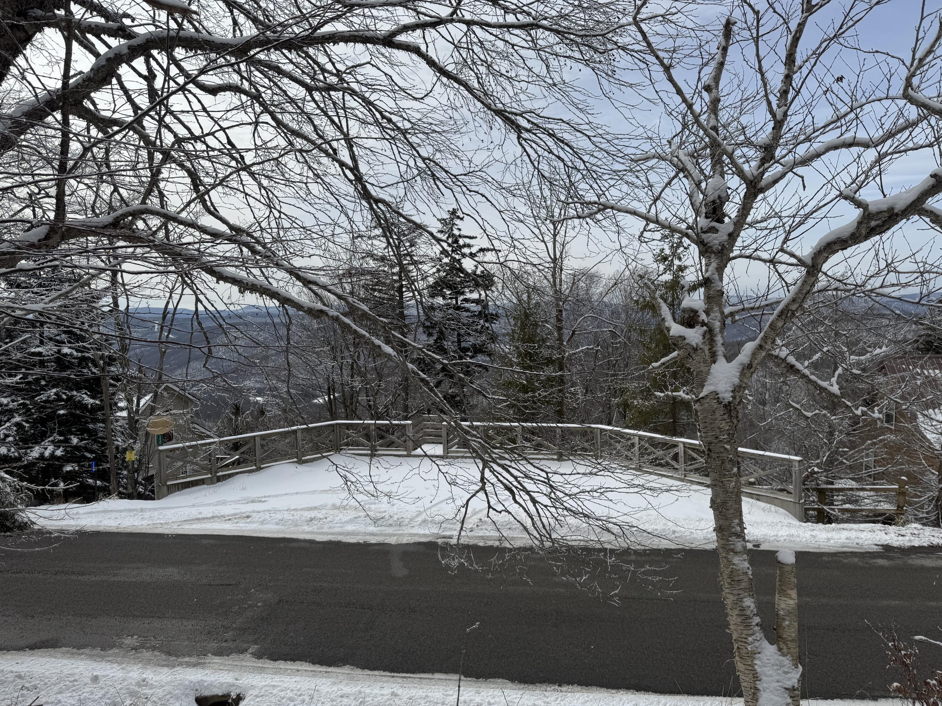 Image 3: IMG_2903