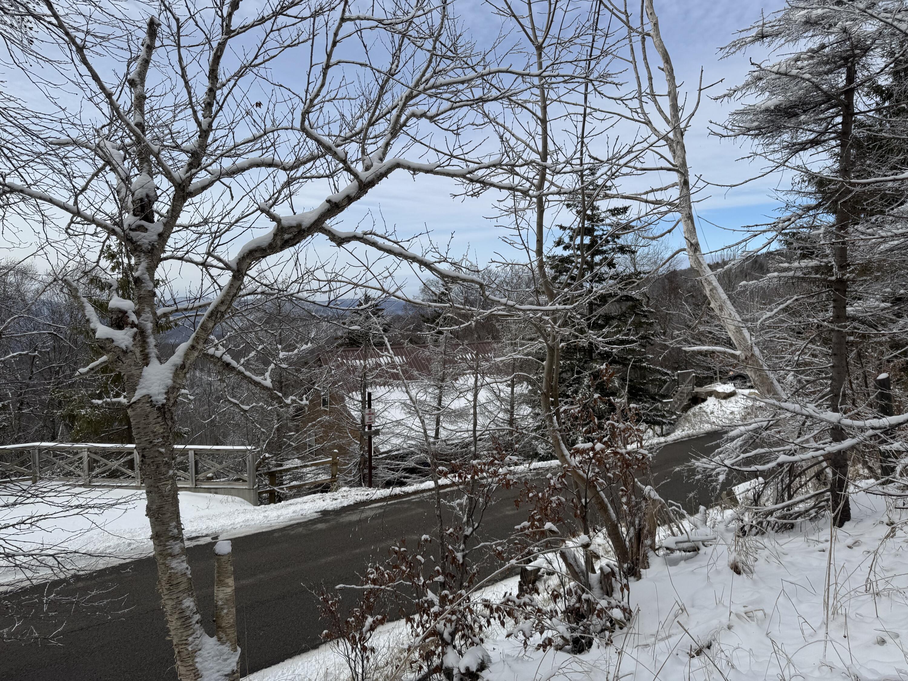Image 4: IMG_2906