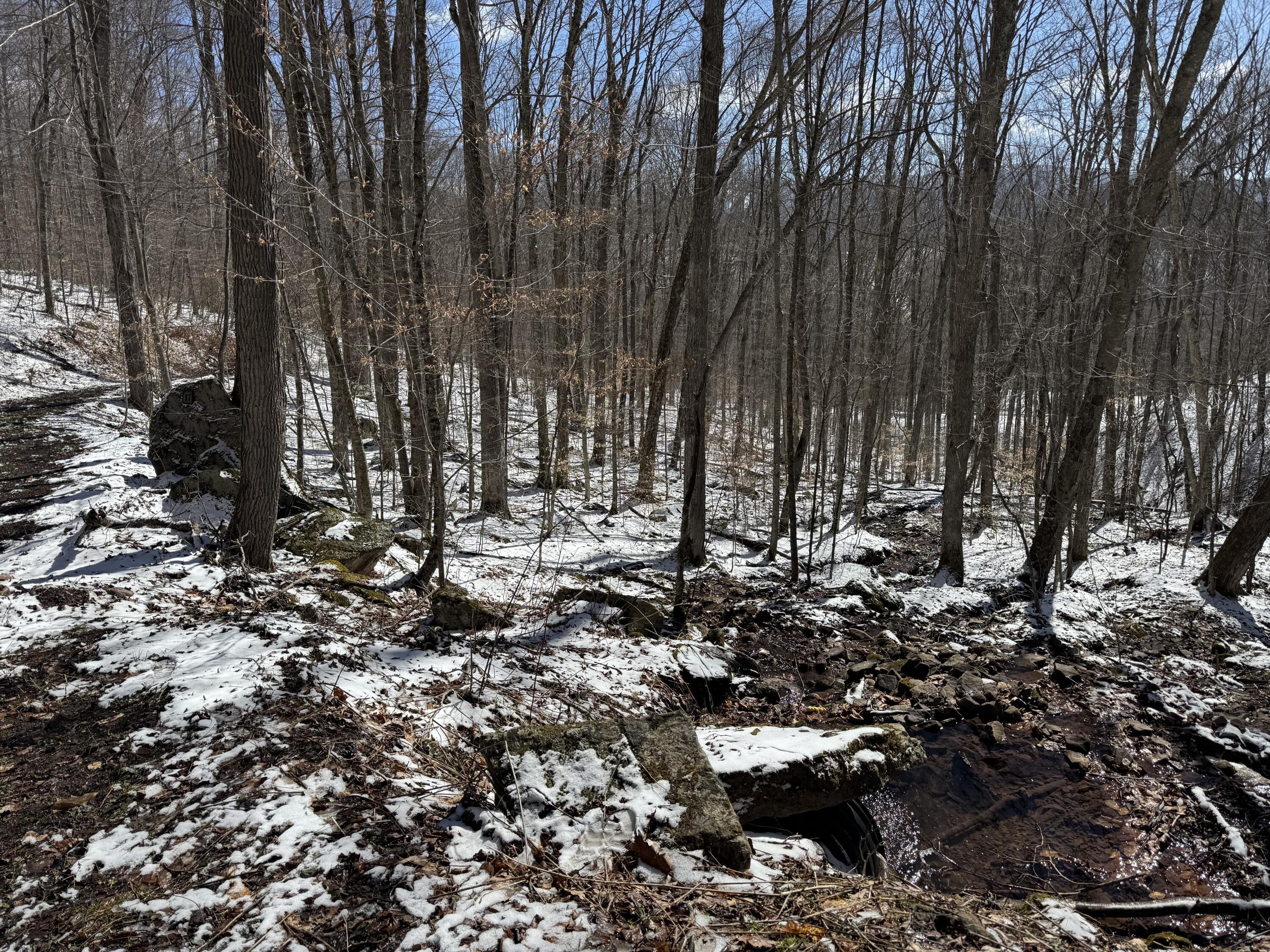 Image 2: IMG_2412