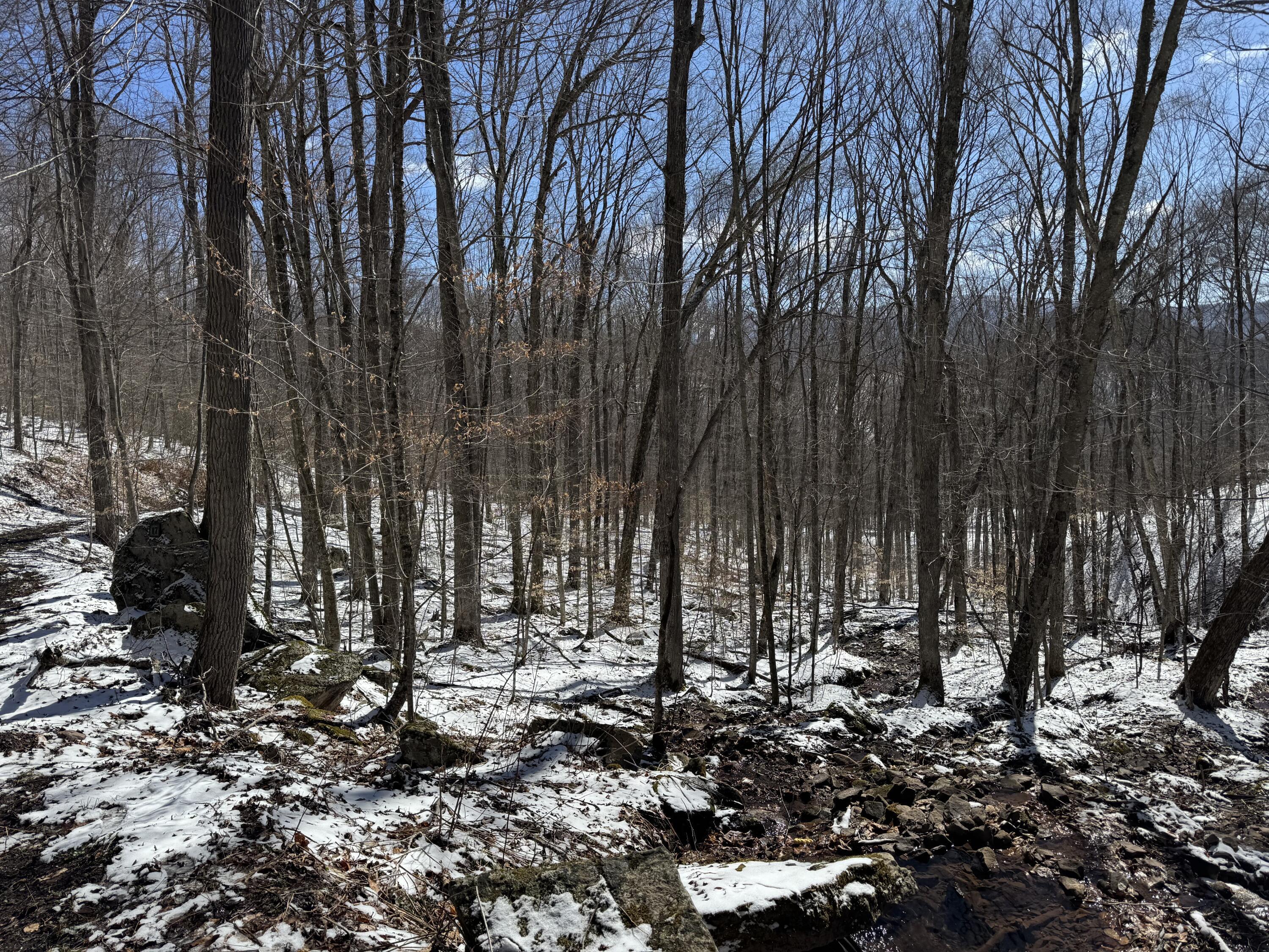 Image 3: IMG_2413