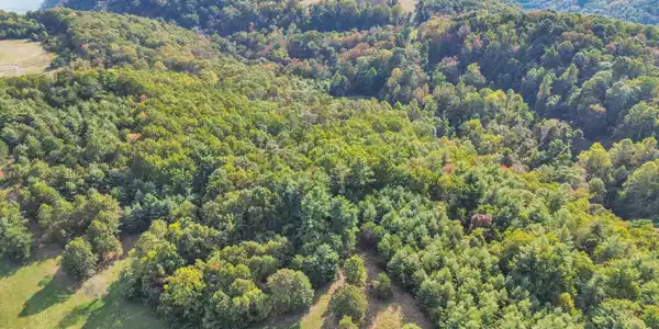 Image 4: DJI_0106(1)