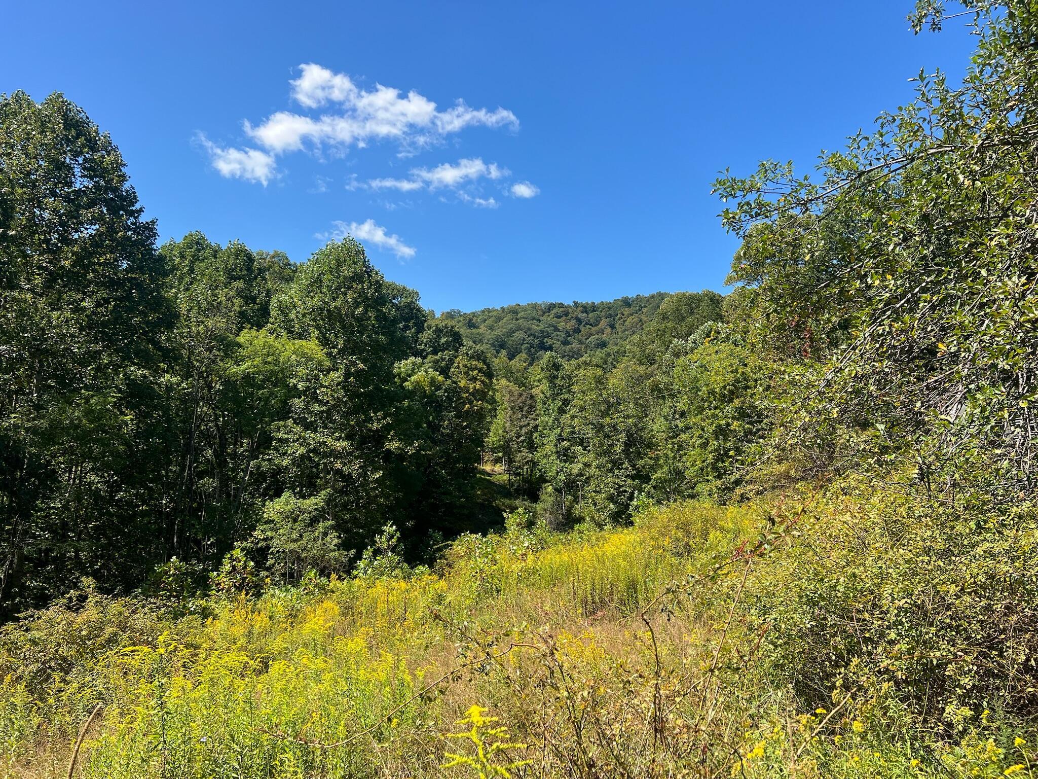 Image 1: Property