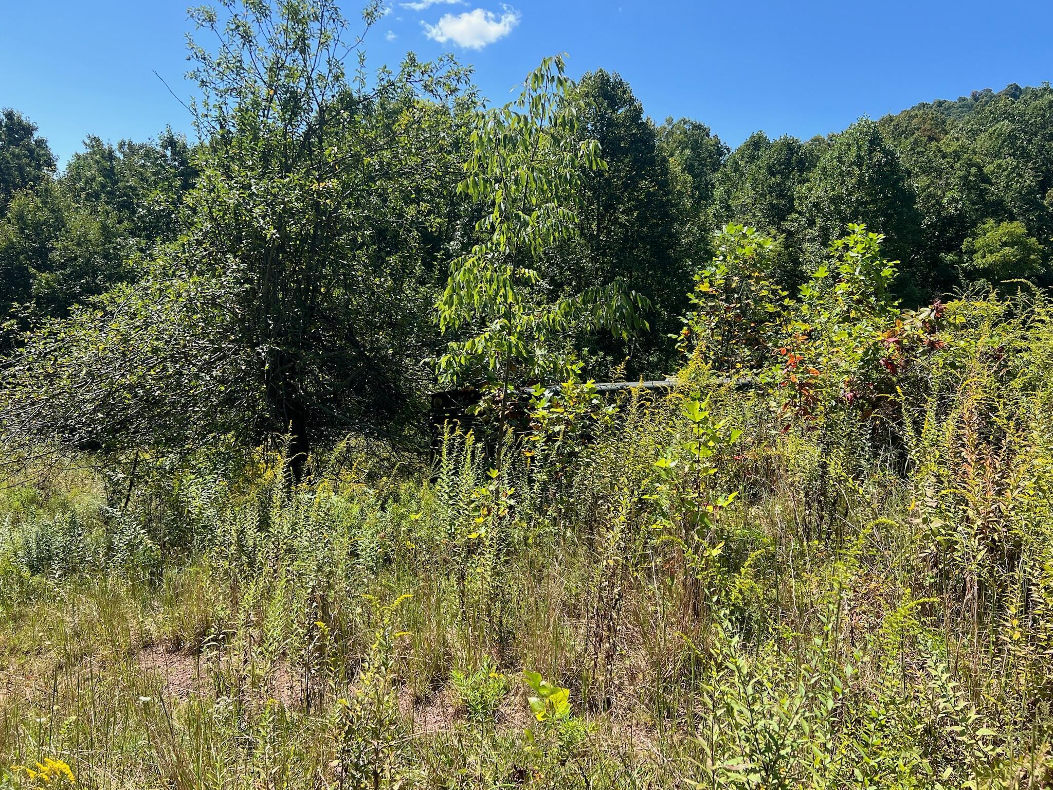 Image 2: Property