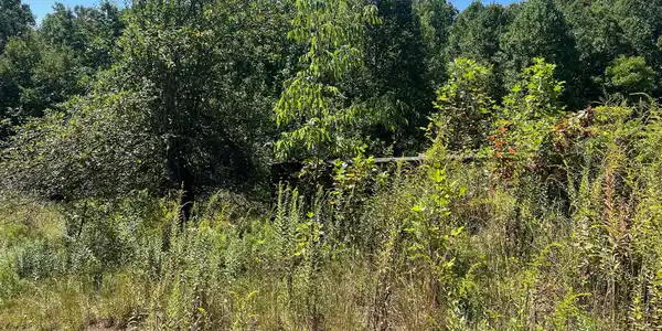 Image 2: Property