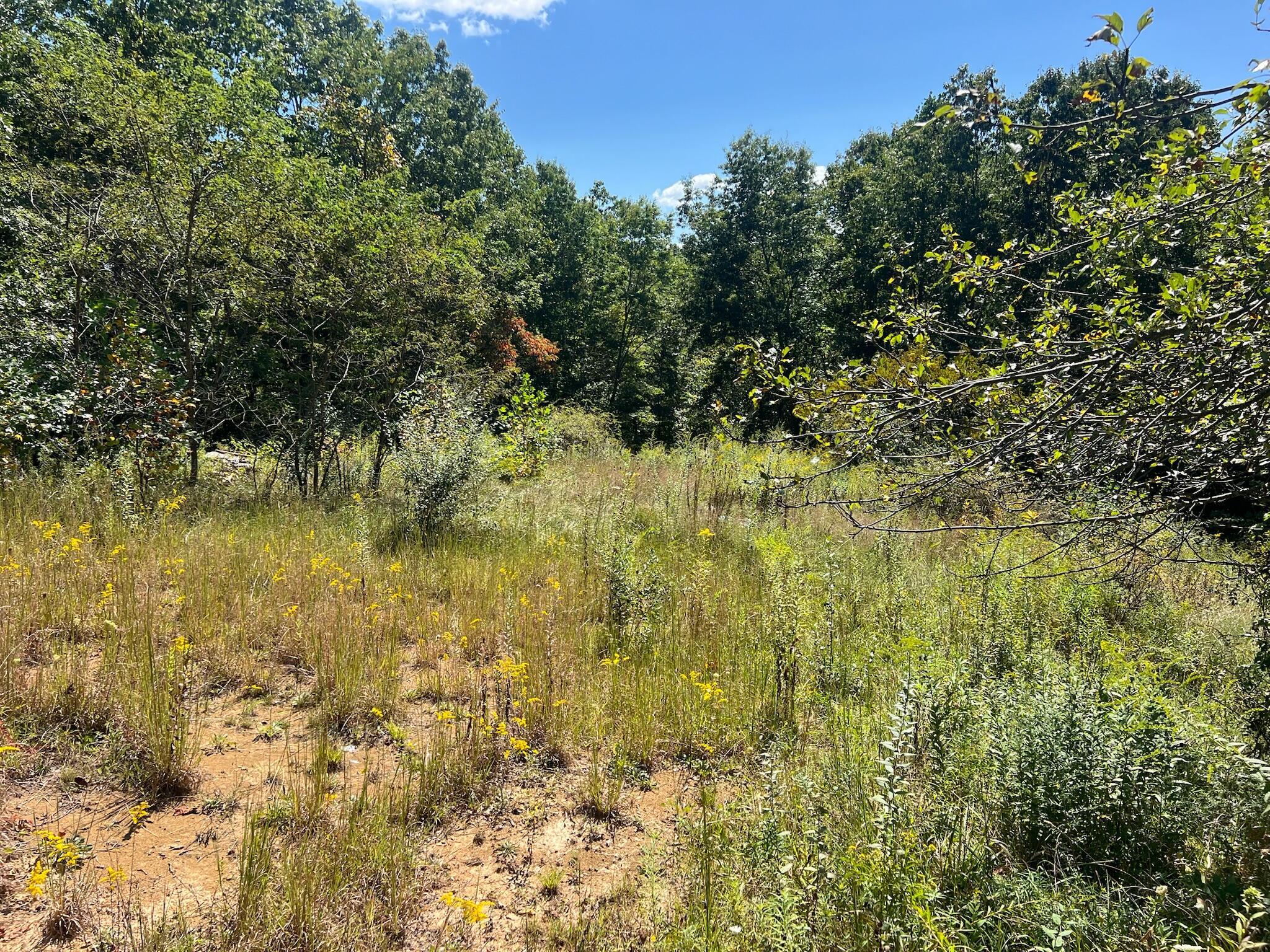 Image 3: Property