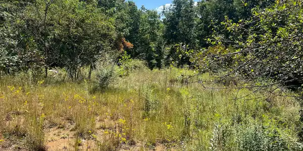 Image 3: Property
