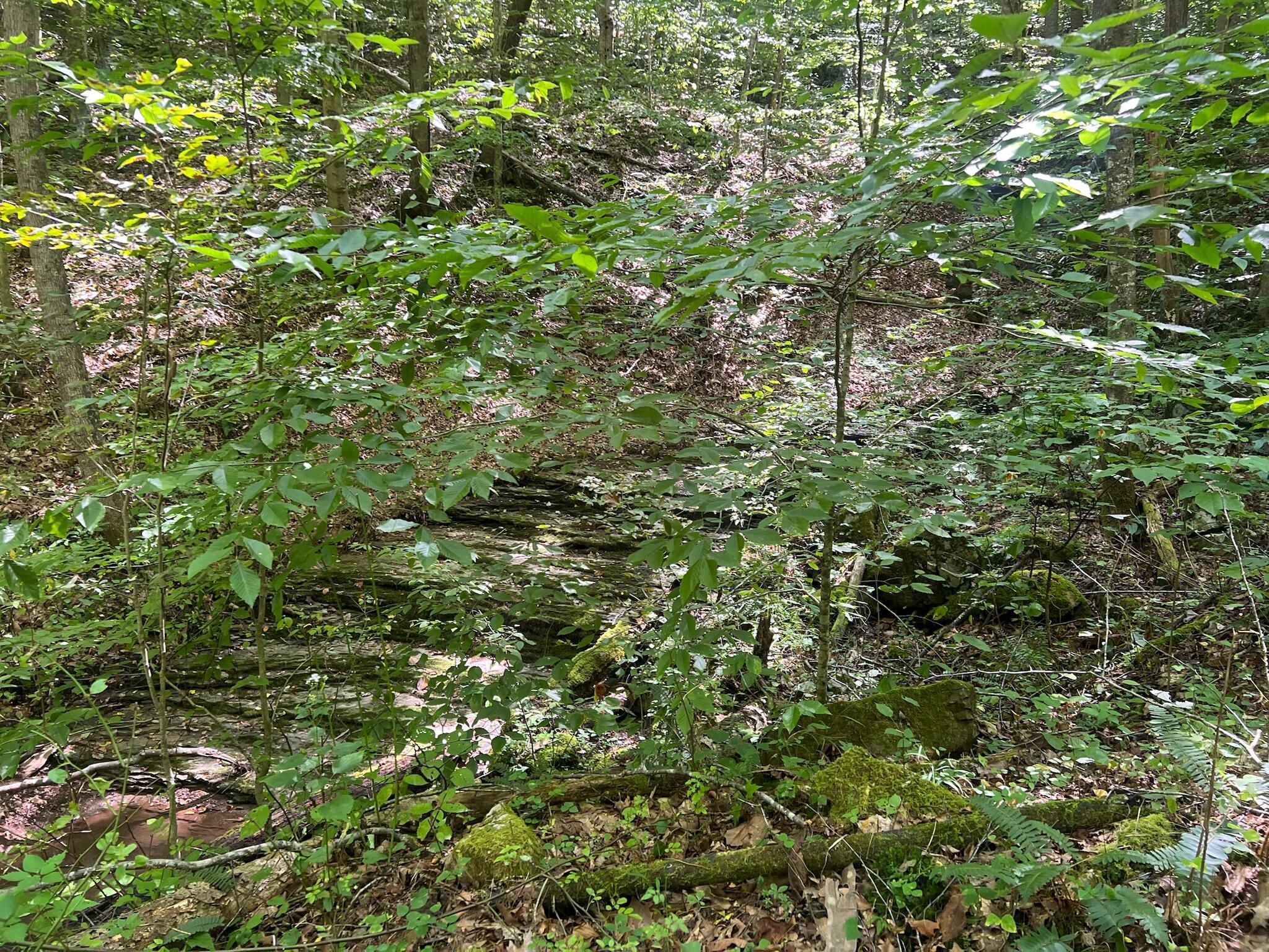 Image 4: Property