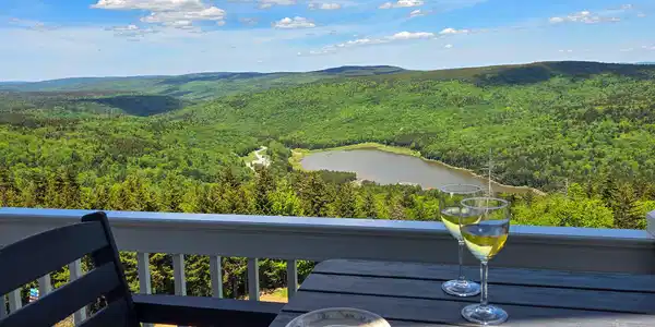 350 Mountain Lodge
