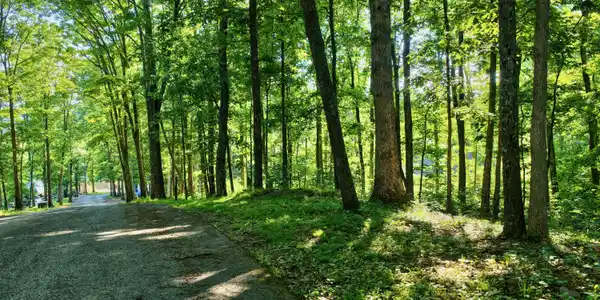 Image 4: DJI_20260604181517_0064_D