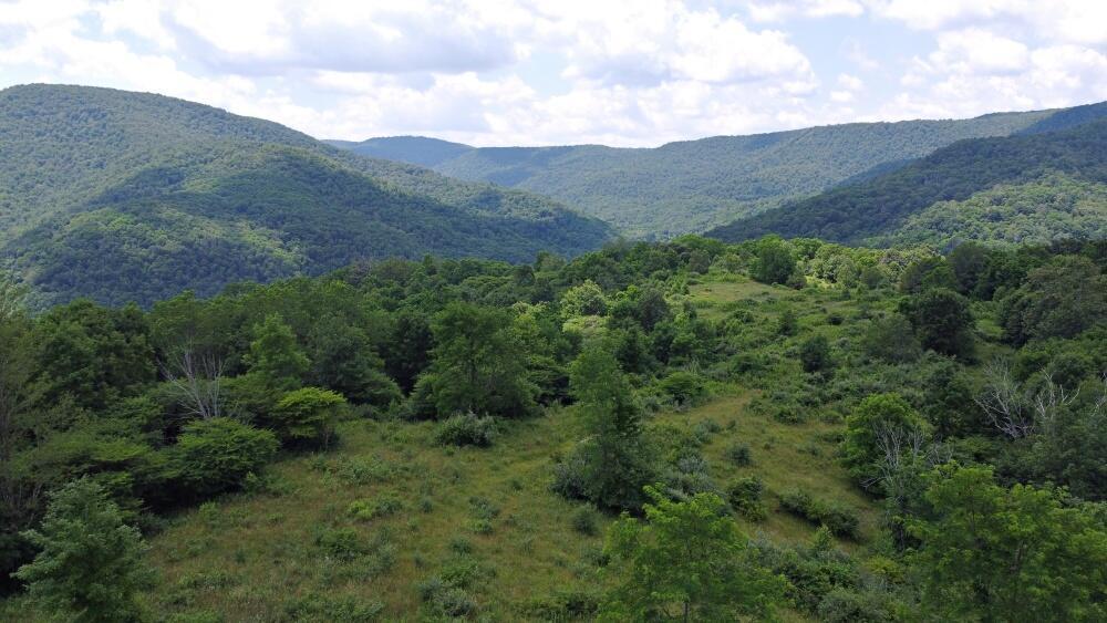 Image 1: 556.66 Acres