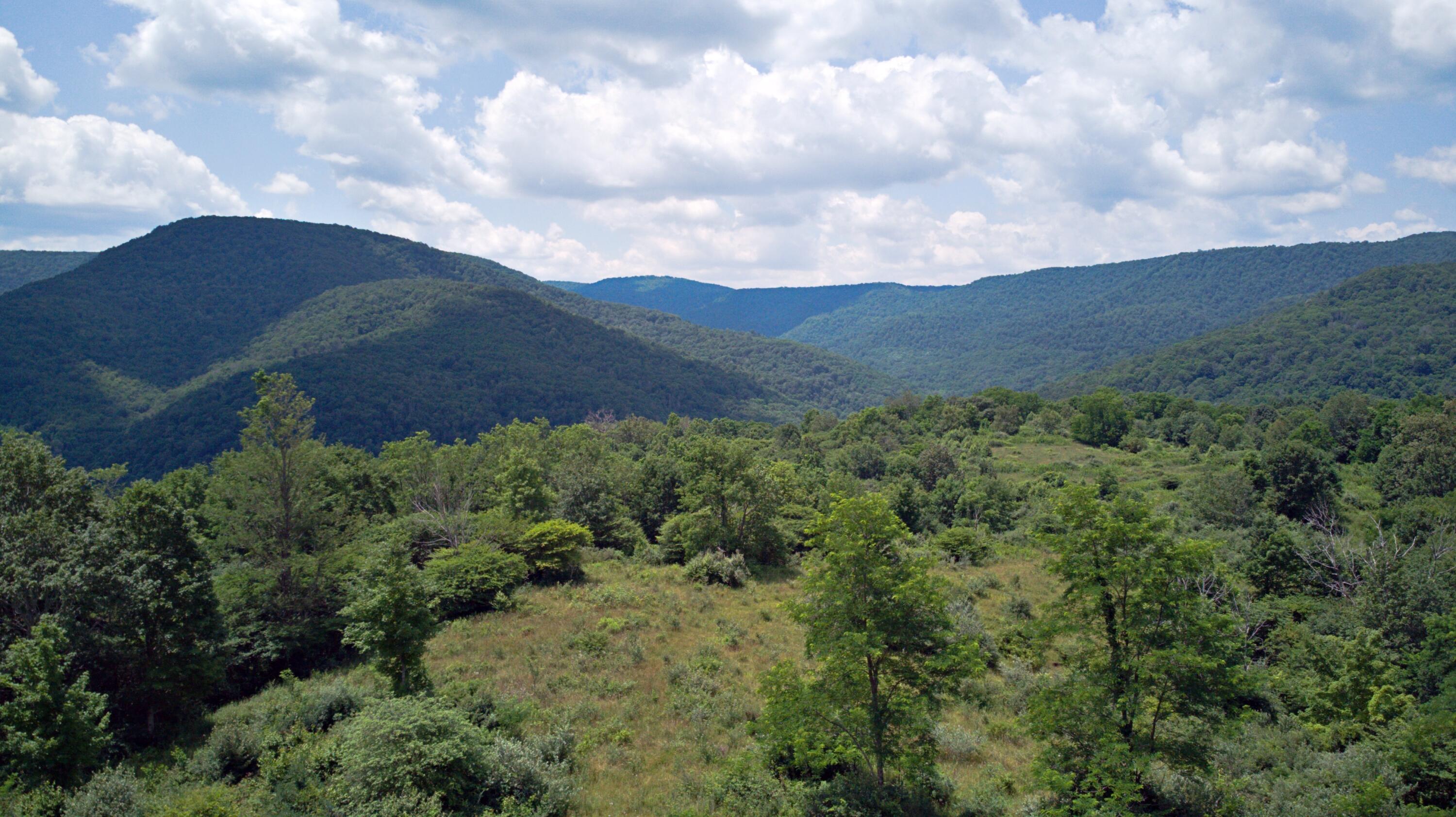 Image 2: upper site1