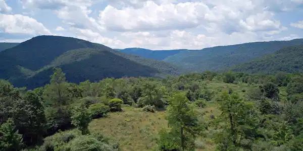 Image 2: upper site1