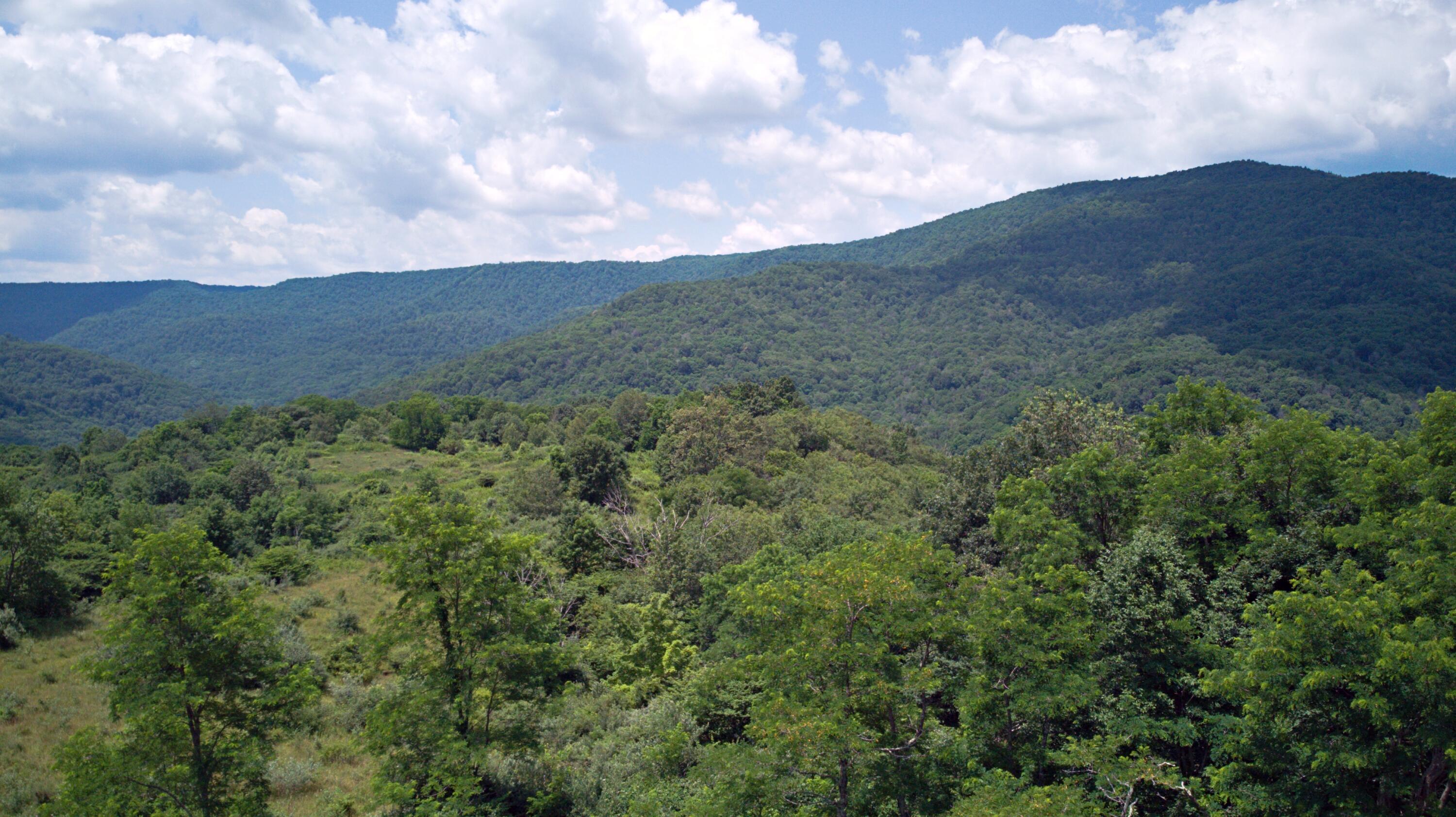 Image 3: upper site2