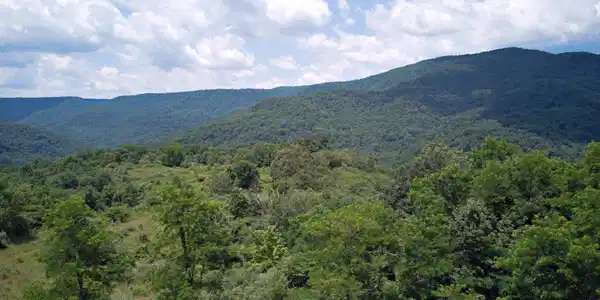 Image 3: upper site2