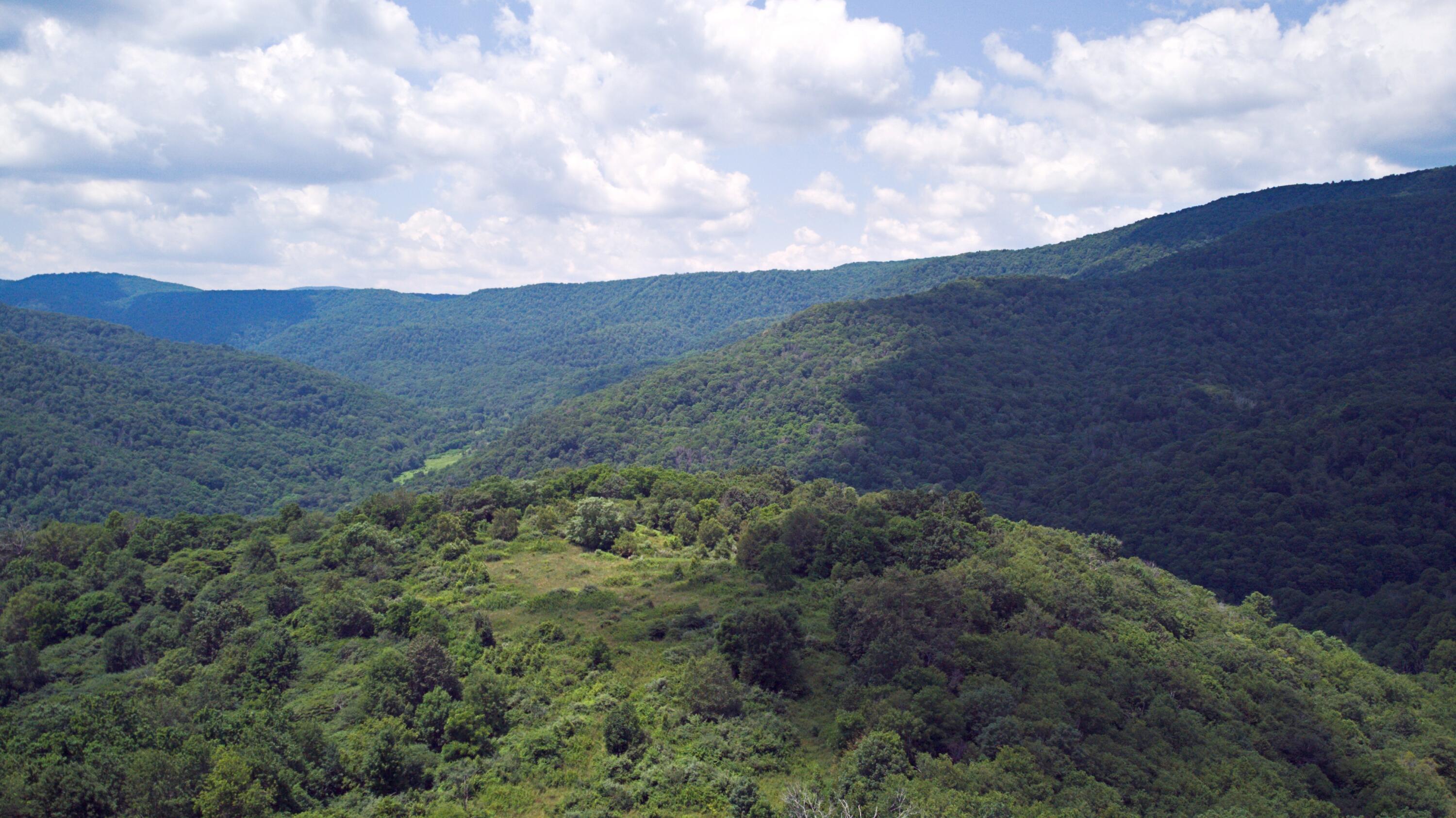 Image 4: upper site3
