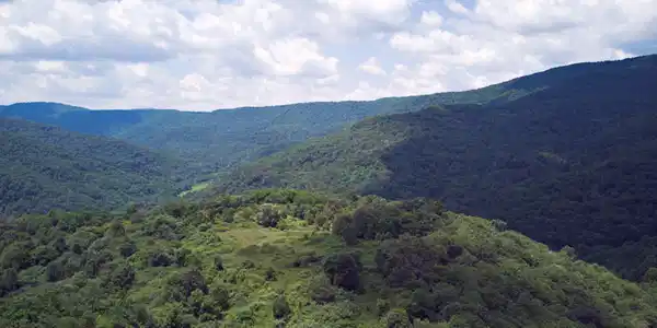 Image 4: upper site3